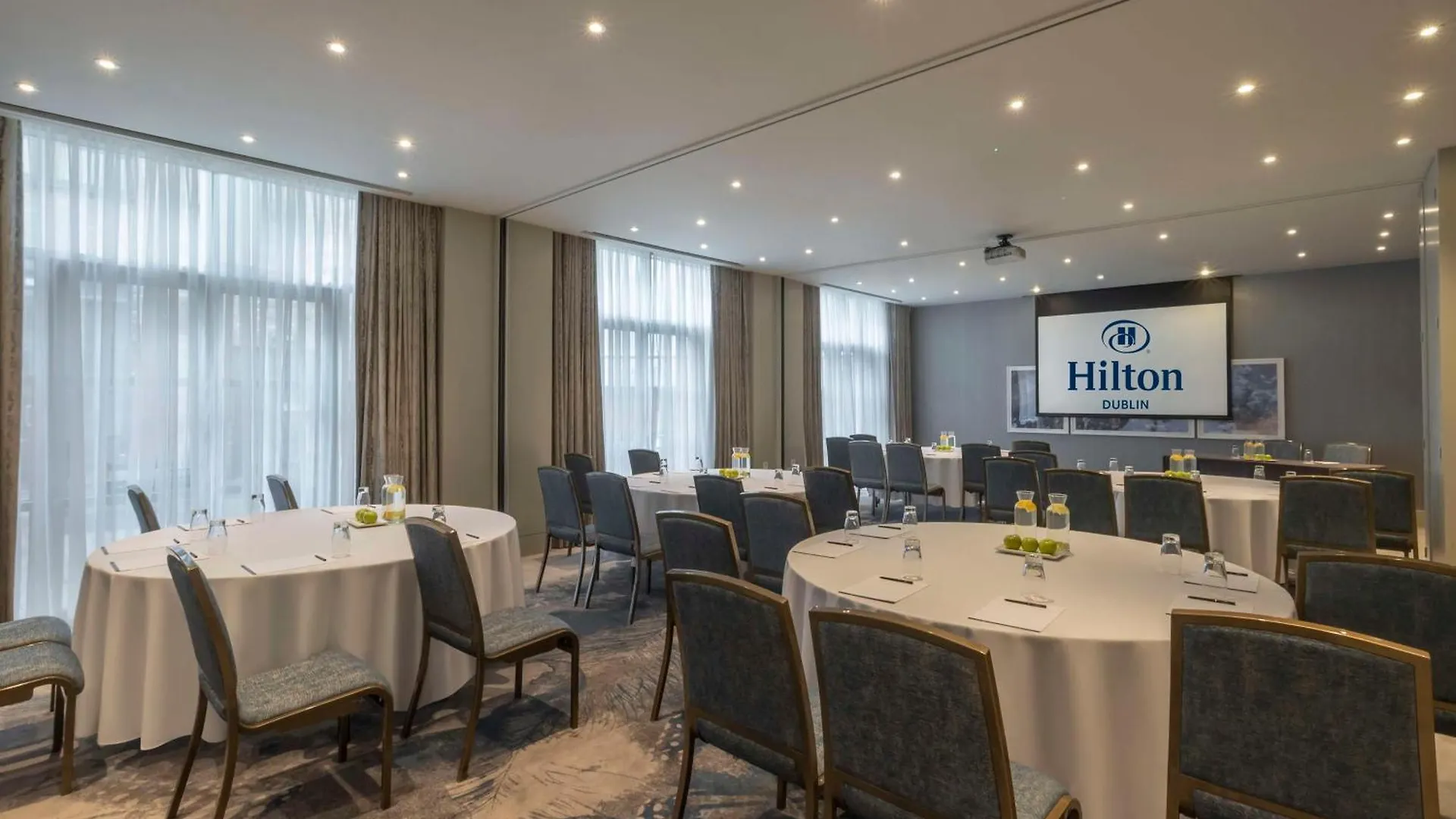 Hilton Dublin Hotel