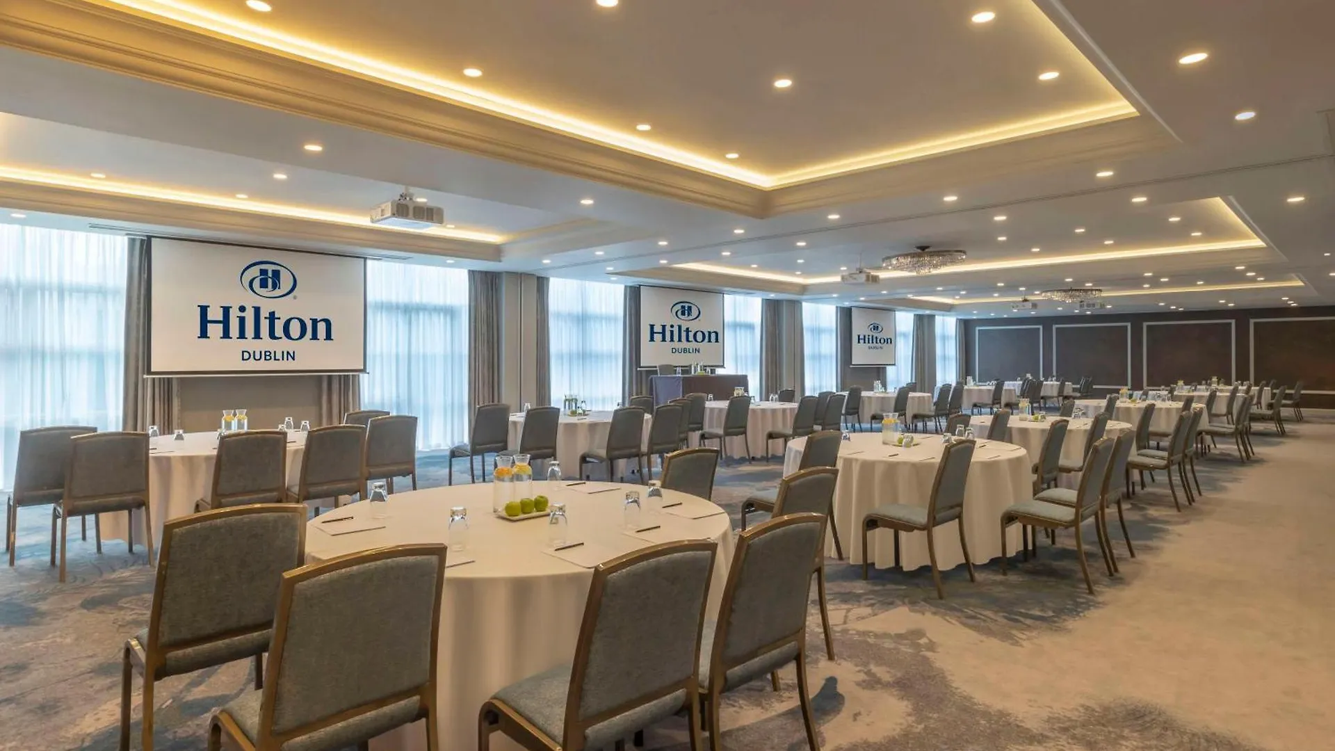 Hilton Dublin Hotel